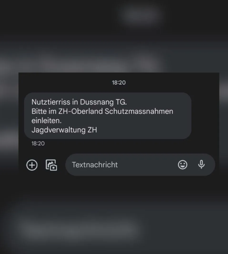 Man sieht einen Ausschnitt aus einer SMS.